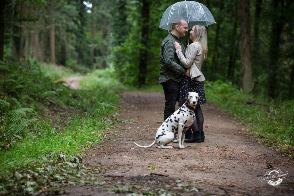 Pre wedding session with dog, Forest of Dean by Kathryn Goddard Photography
