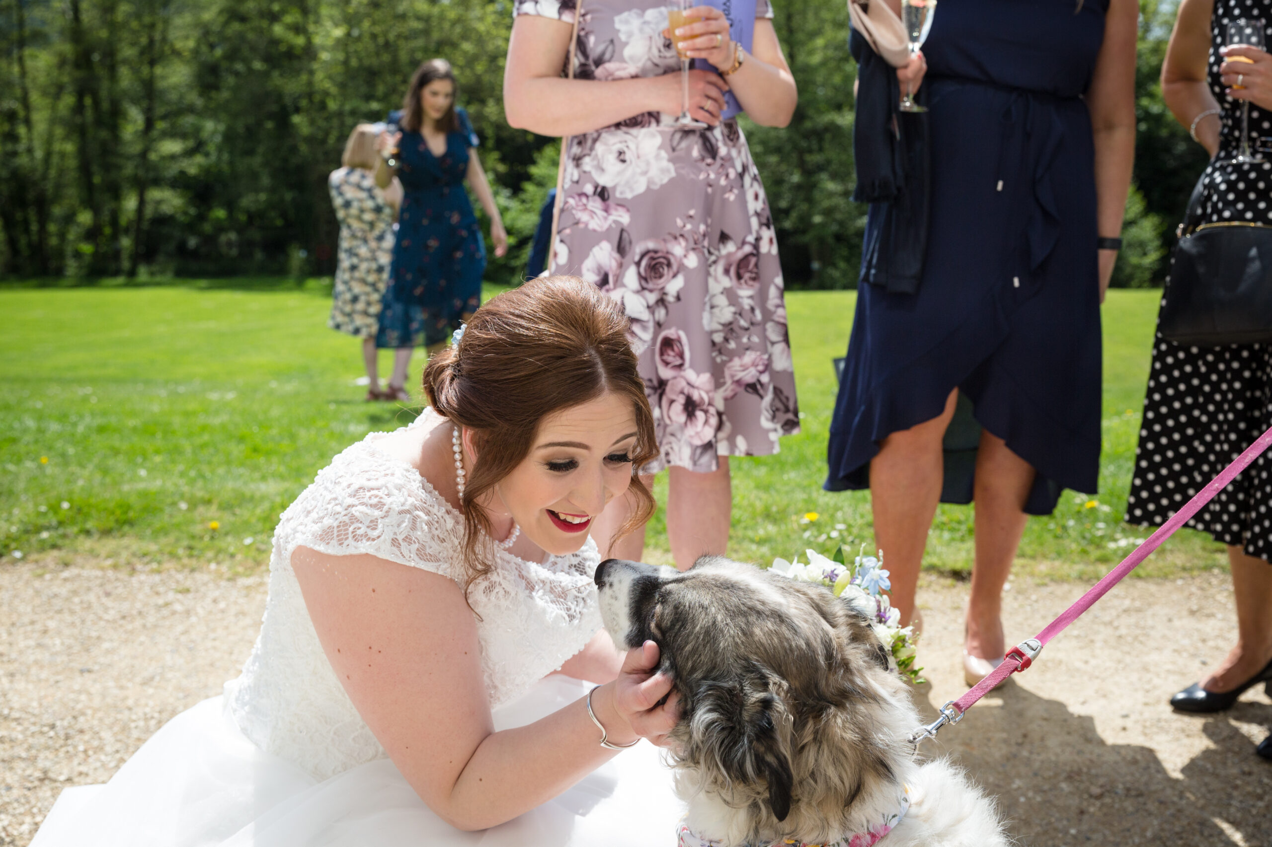 Bride petting dog at Bowden Hall wedding by Kathryn Goddard Photography
